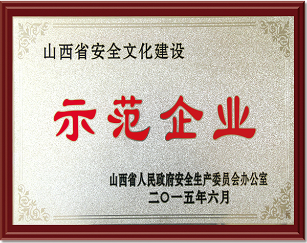山西省安全文化建设示范企业
