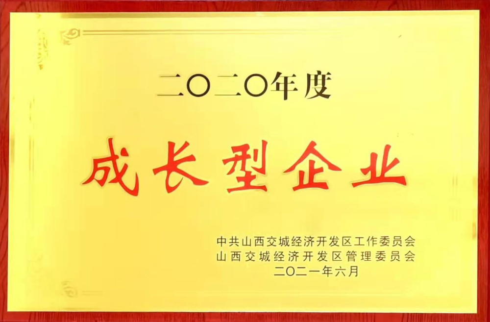 2020年度成长型企业